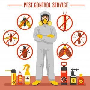 Борба против гризачи 2 | Insect Expert Борба против гризачи 2