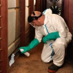 Ракумин пяна от BAYER против гризачи (Racumin Foam BAYER) | Пяна против гризачи | Инсект Експерт